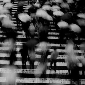 猛男肌肉Gya同性www
