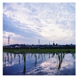 猛男肌肉Gya同性www
