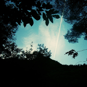 猛男肌肉Gya同性www
