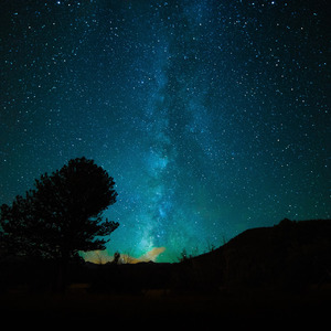 猛男肌肉Gya同性www
